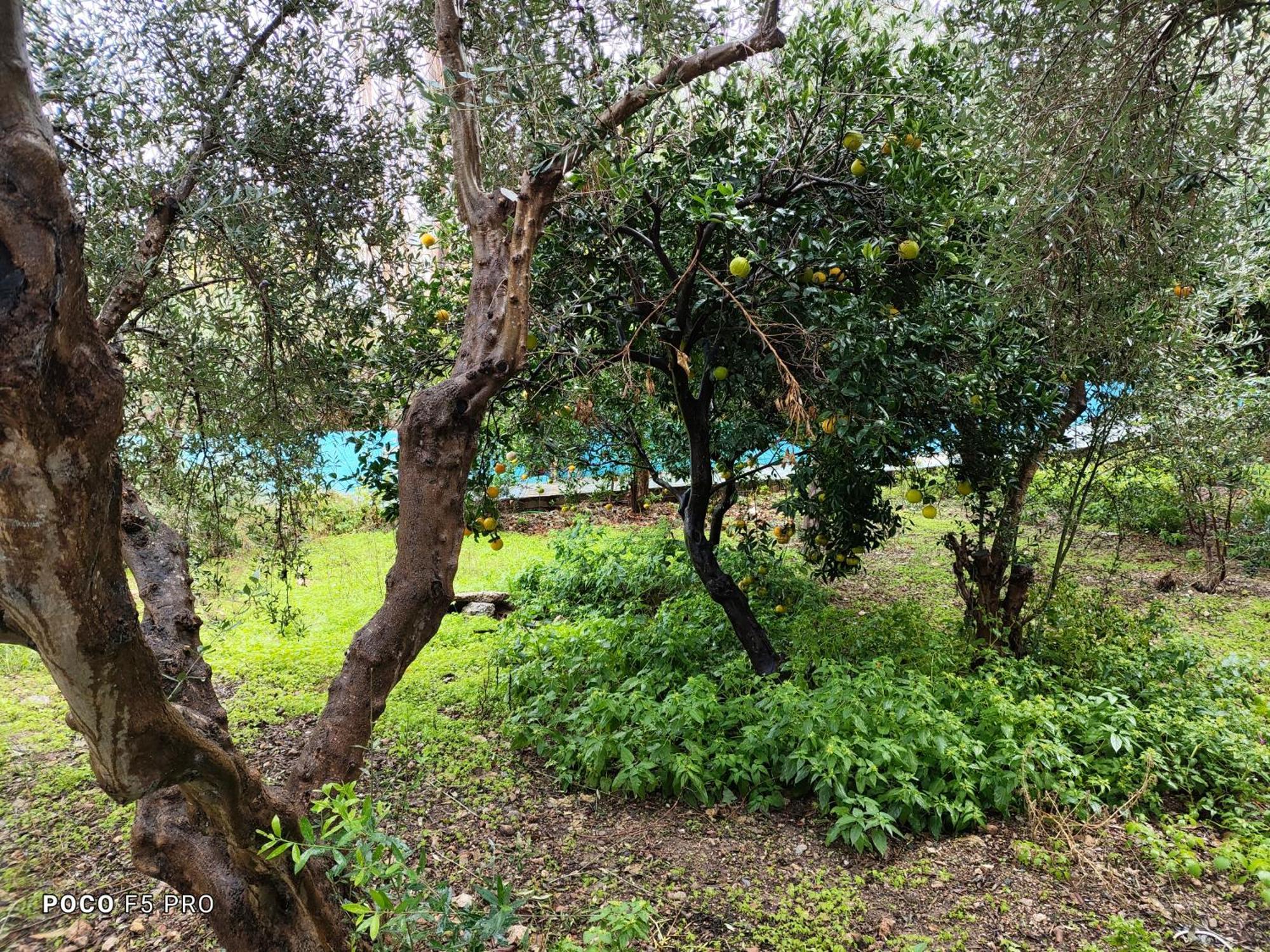 Panormos  Giannis Apartments By Climbing House מראה חיצוני תמונה